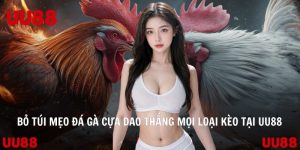 Bỏ Túi Mẹo Đá Gà Cựa Dao Thắng Mọi Loại Kèo Tại UU88