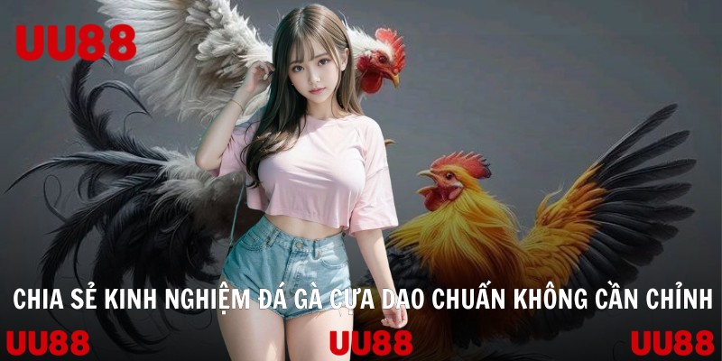 Chia sẻ kinh nghiệm đá gà cựa dao chuẩn không cần chỉnh