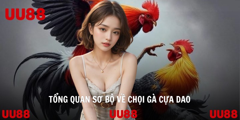 Tổng quan sơ bộ về chọi gà cựa dao