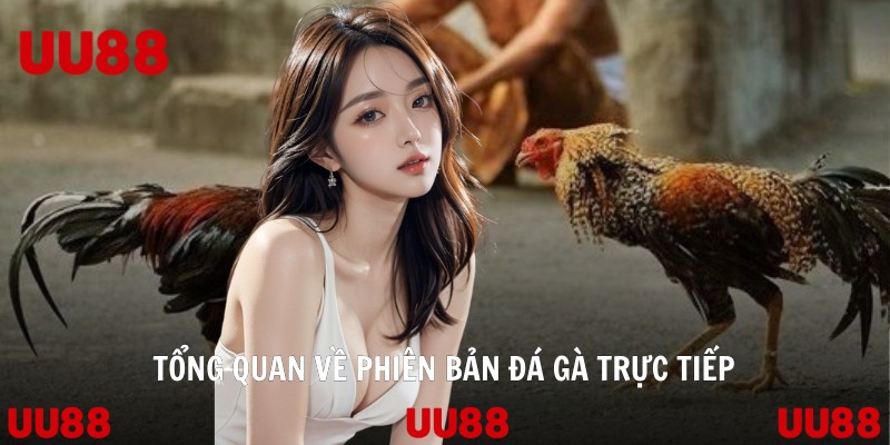Tổng quan về phiên bản đá gà trực tiếp